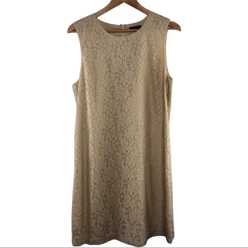 NWT The limited tan lace dress, L